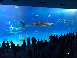 水族館